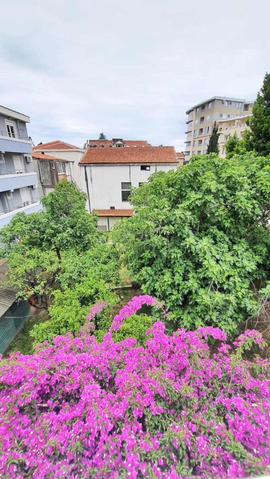 Vojinovic Apartments Budva Zimmer foto