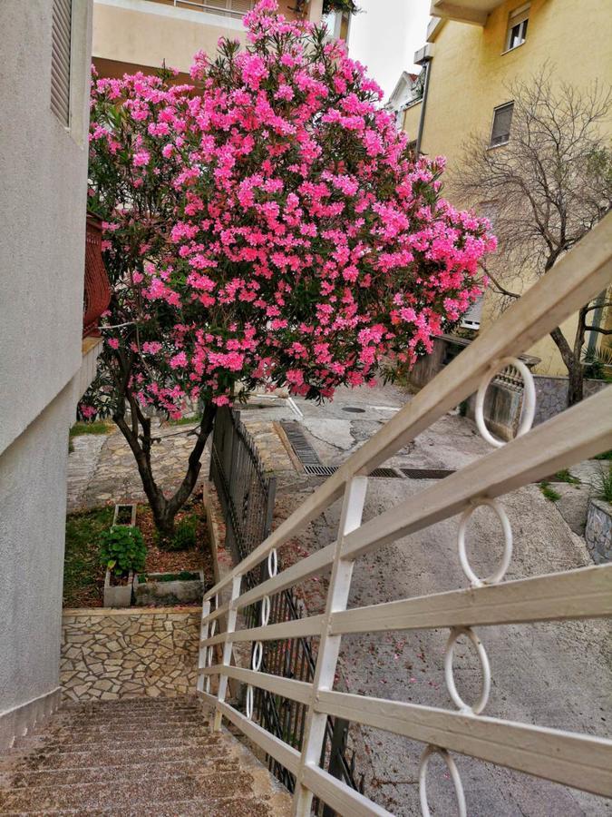 Vojinovic Apartments Budva Exterior foto